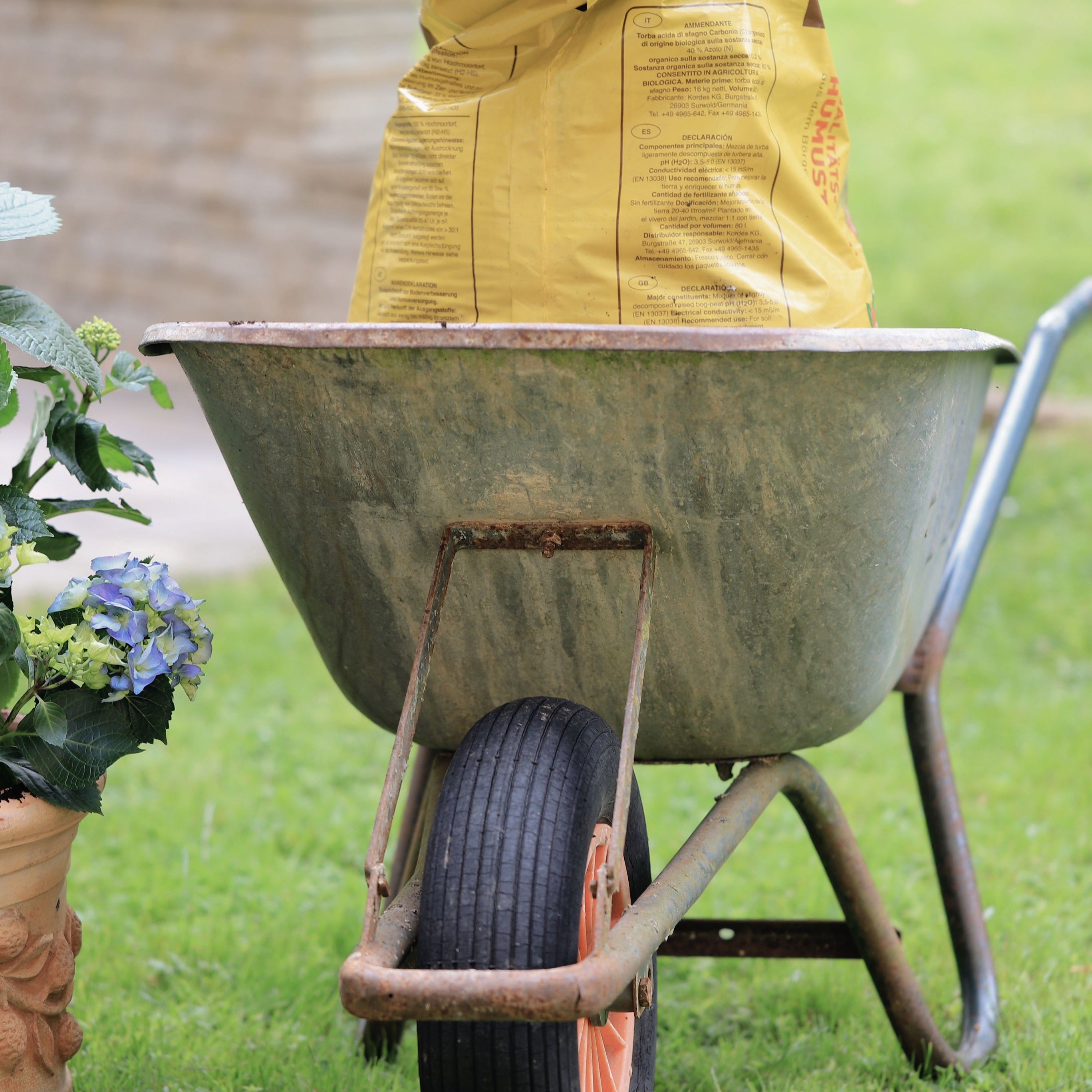 Gartenarbeit Und Rasenpflege