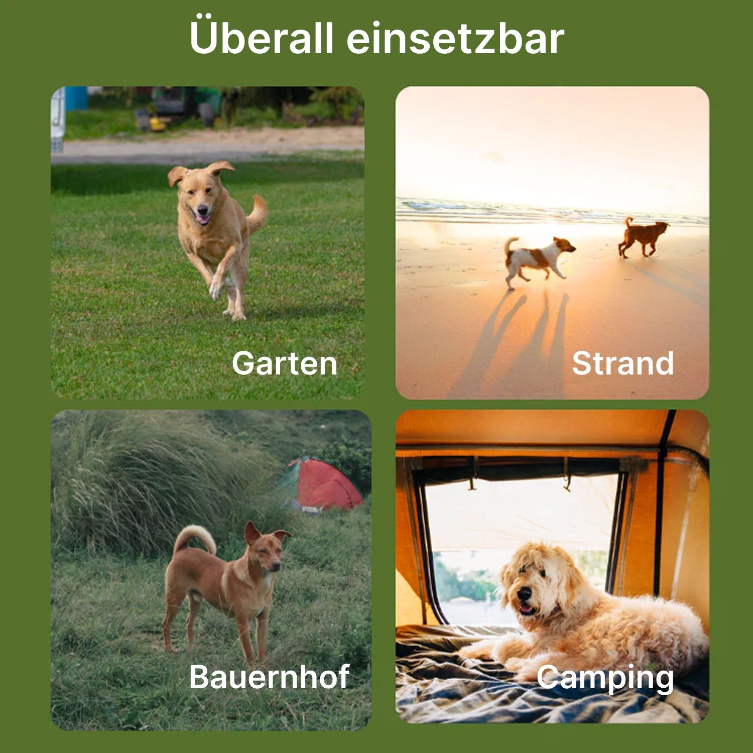 HavinFen