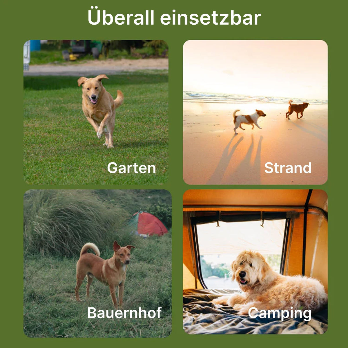 HavinFen