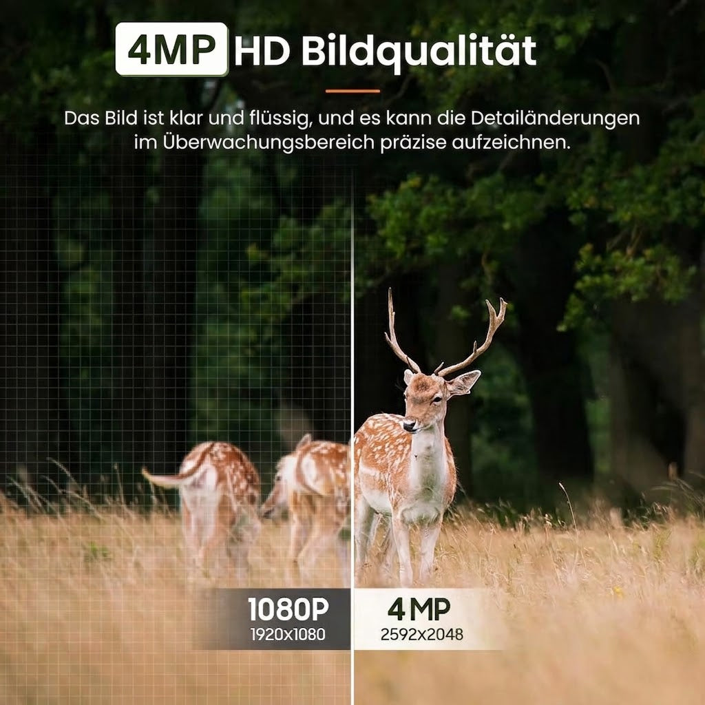AstroHaw 4K Kamerafalle & Wildkamera mit No-Glow