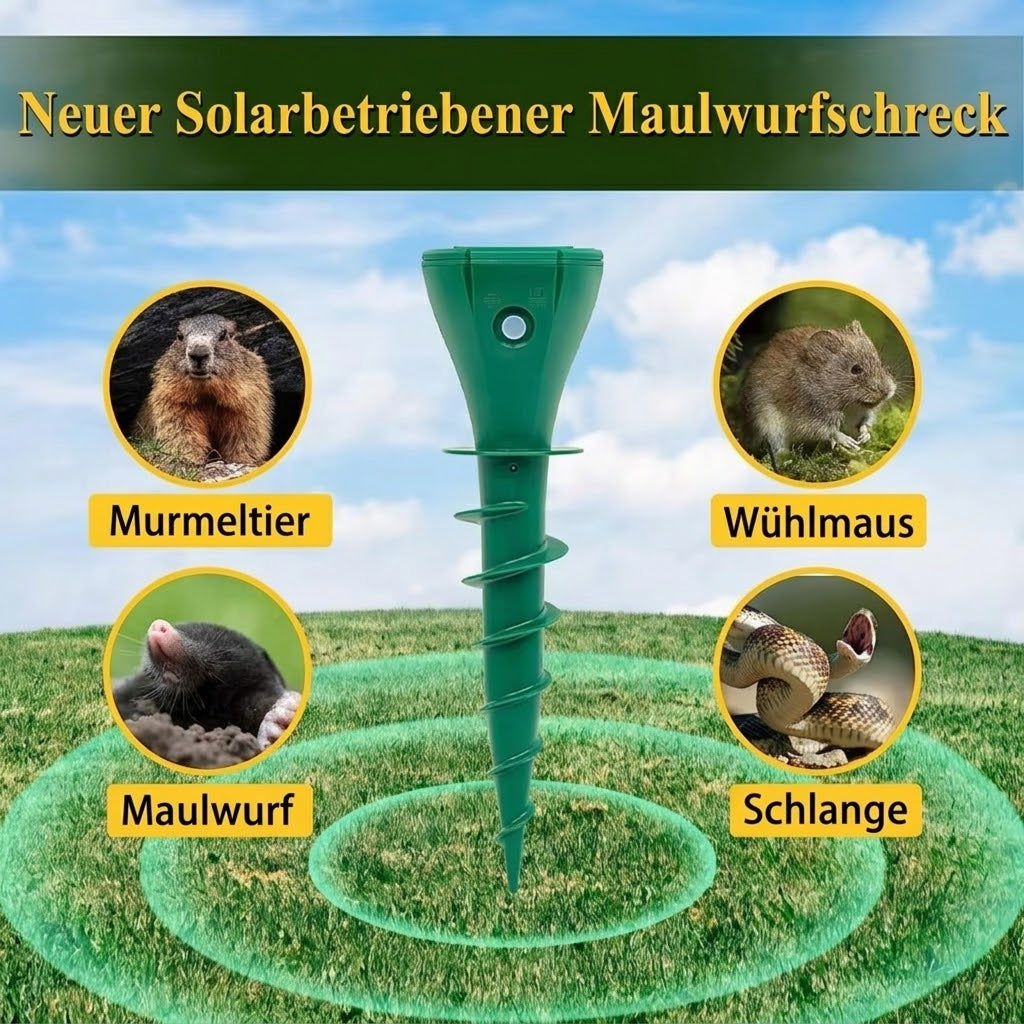 ChaseRiff
