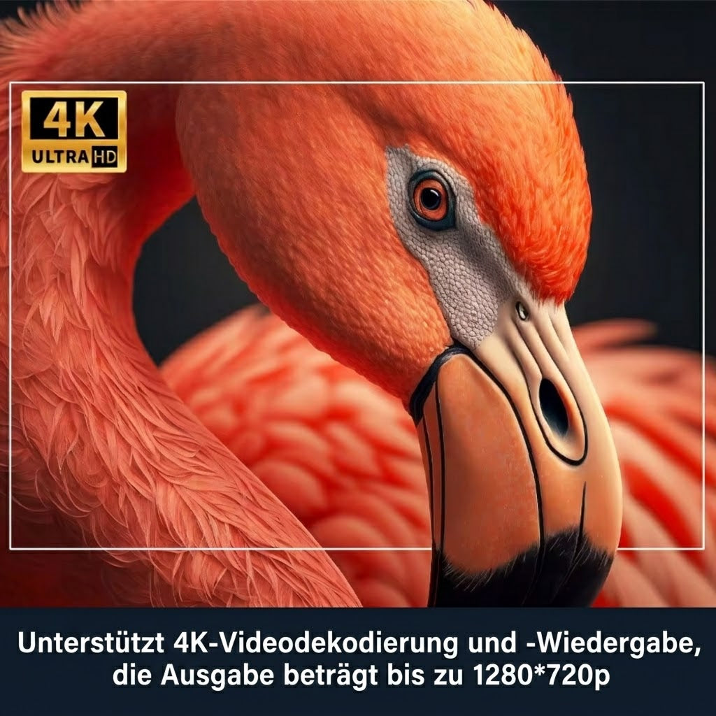 Cinetote
