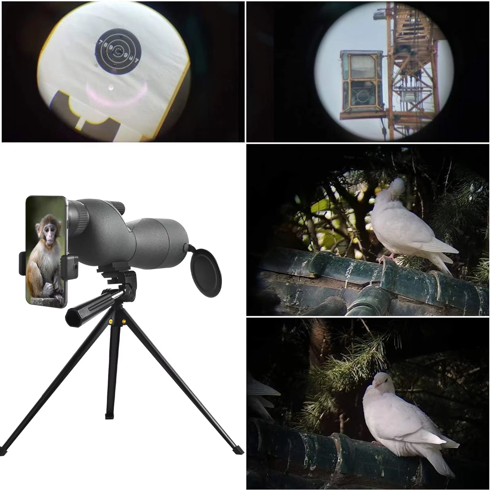 OrniLens v2