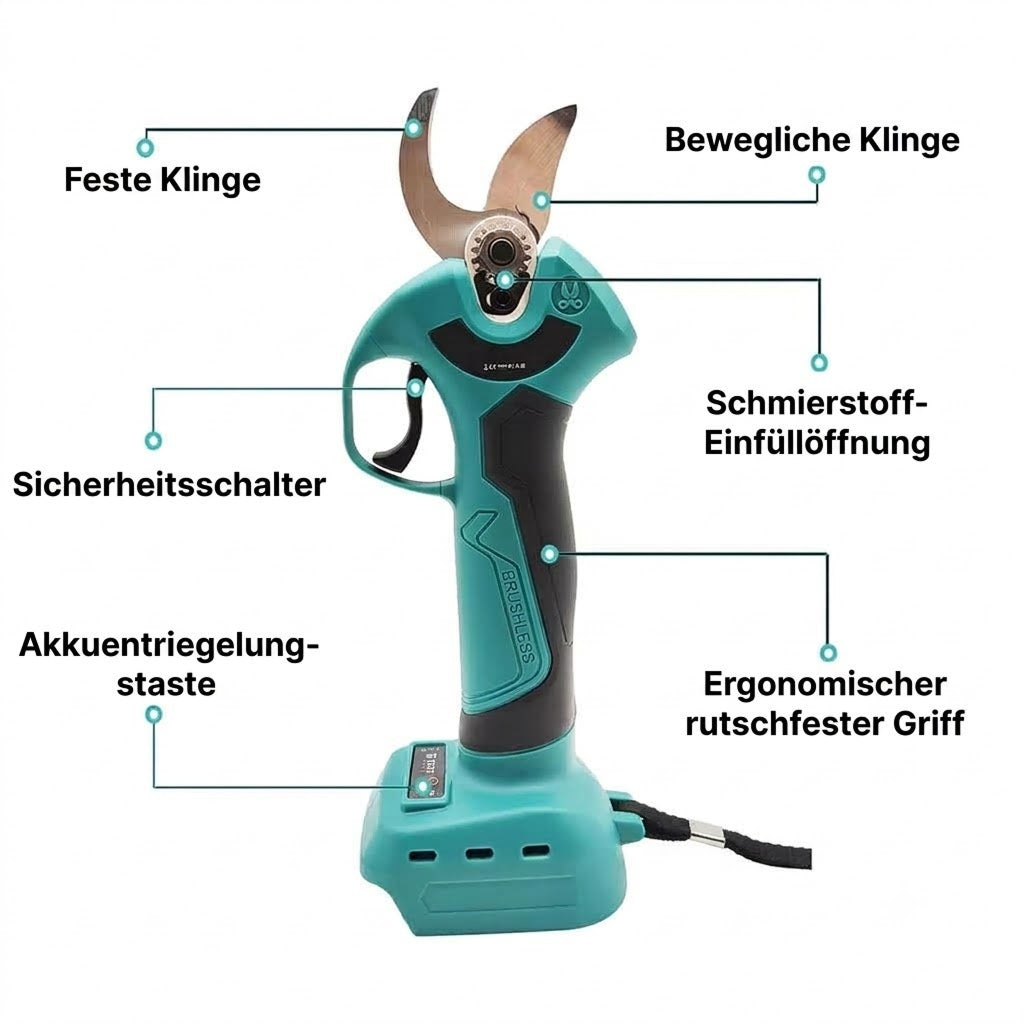 EdgePrune