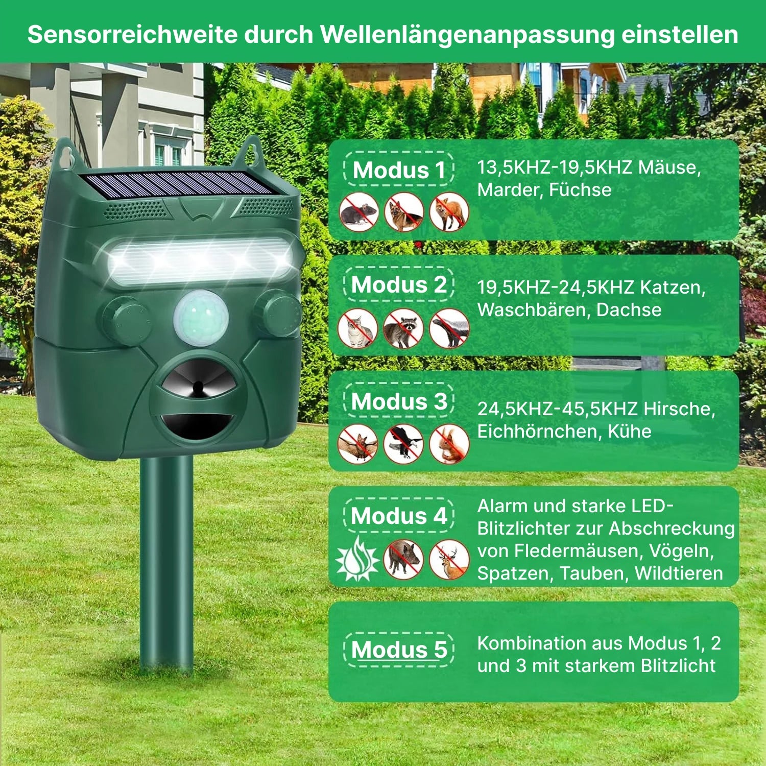 WildreBan