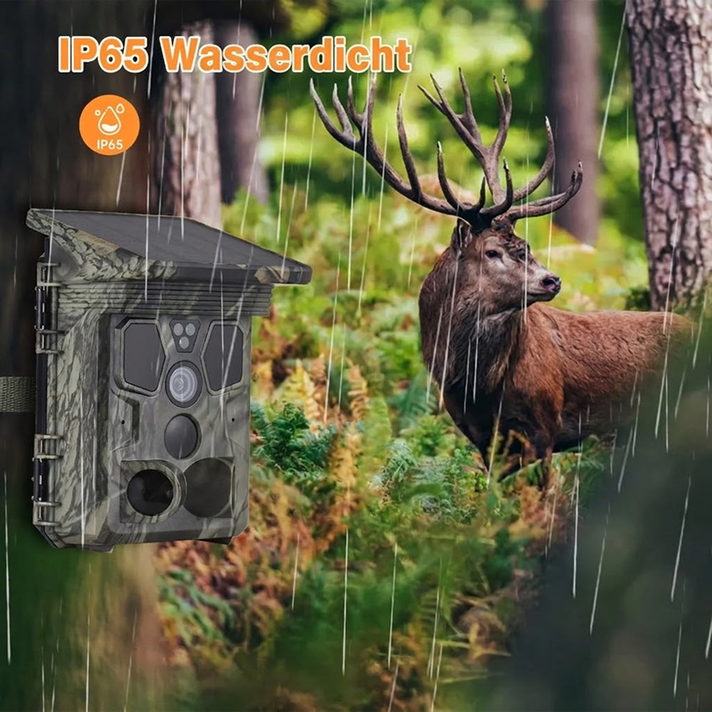 Wildsnap v3