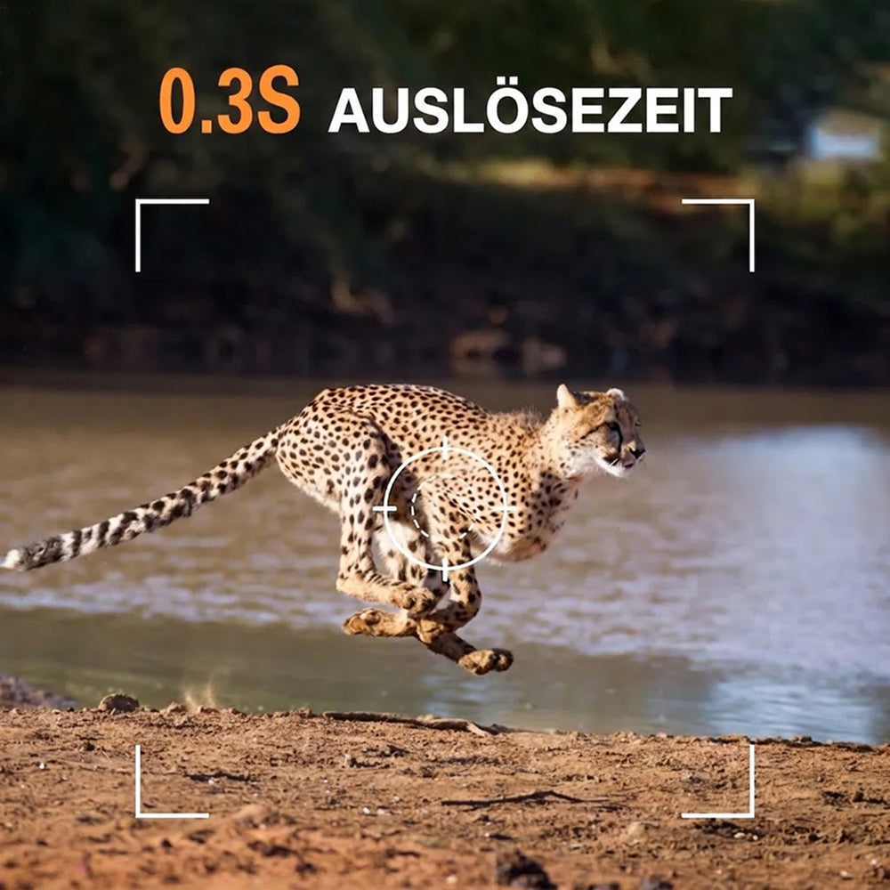 Wildsnap v3